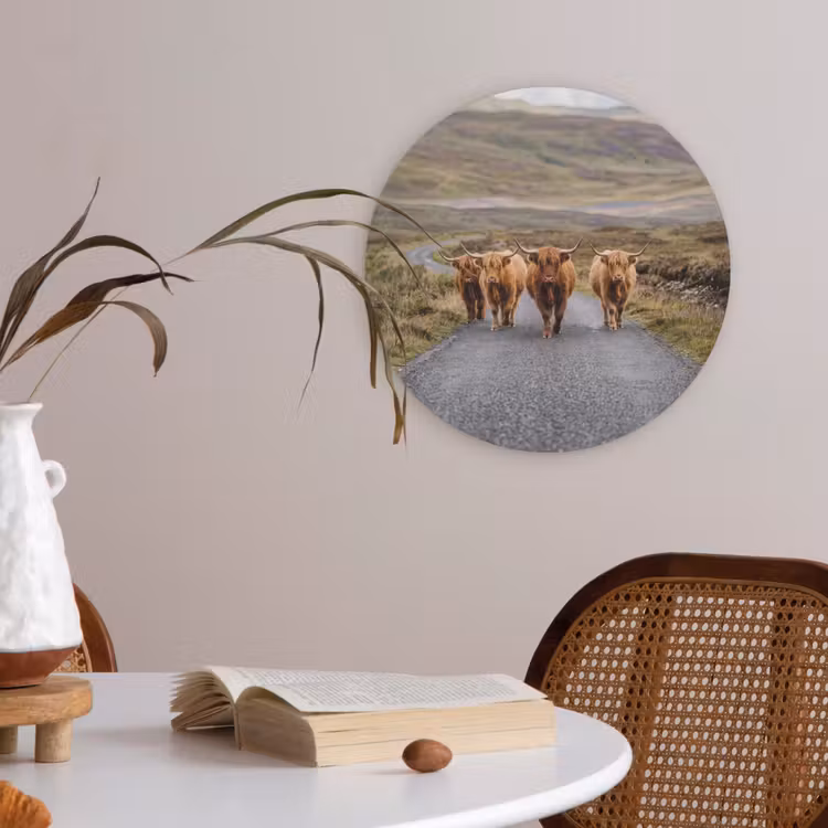 Schotse Hooglanders - Weg - Landschap - Kudde Akoestische PET Vilt - Rond klein -sfeer3