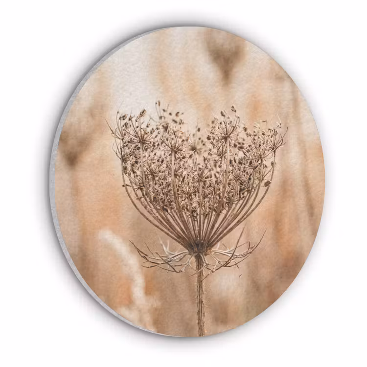 Schermbloem - Droogbloem - Winter - Beige - Minimalistisch Akoestische PET Vilt - Rond klein -3d