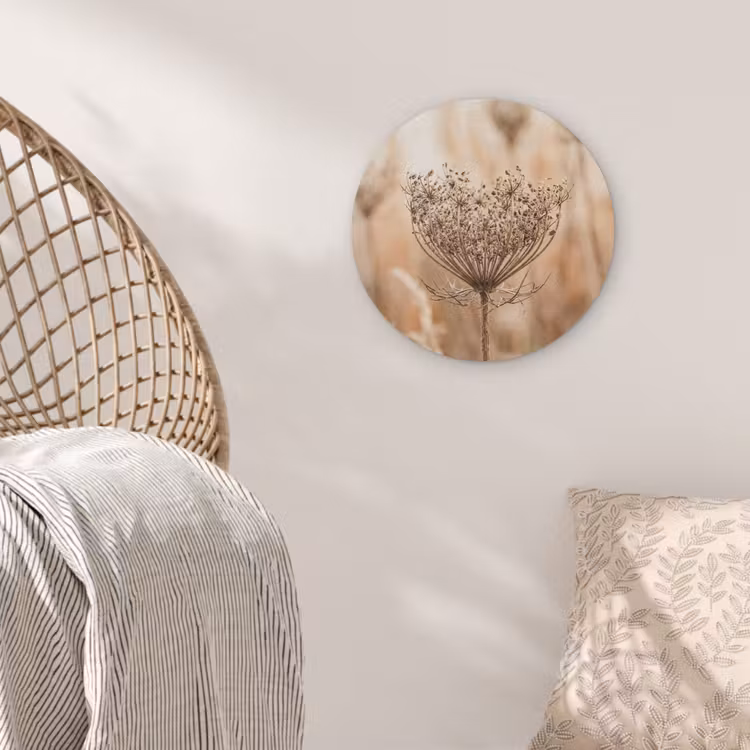 Schermbloem - Droogbloem - Winter - Beige - Minimalistisch Akoestische PET Vilt - Rond klein -sfeer4