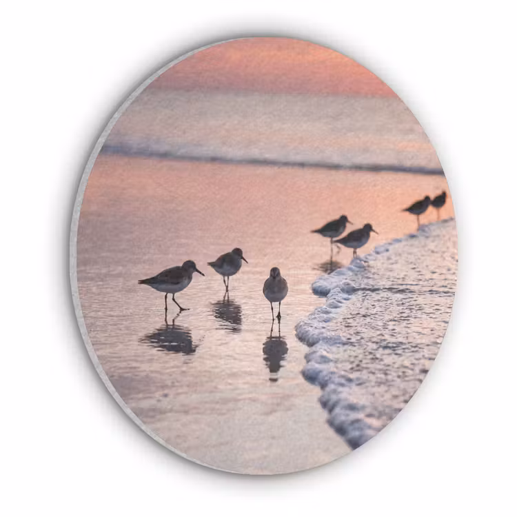 Meeuwen - Strand - Zee - Roze Akoestische PET Vilt - Rond klein -3d