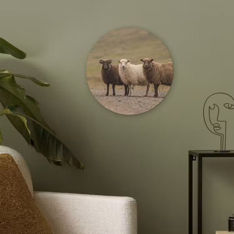 Schapen - Bruin - Wit - Grindpad Akoestische PET Vilt - Rond klein -sfeer2