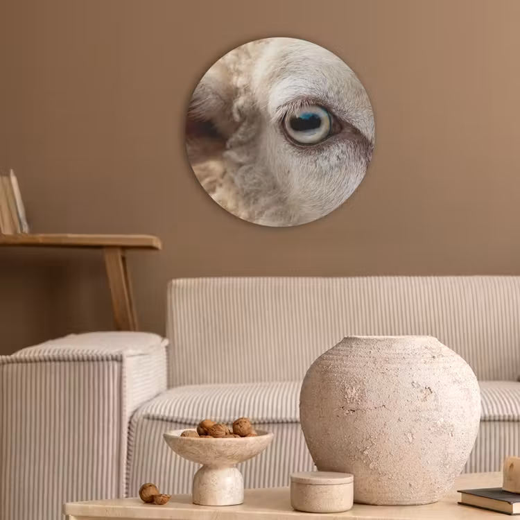 Schaap - Oog - Wit Akoestische PET Vilt - Rond klein -sfeer1