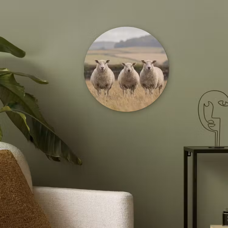 Schapen - Weidenlandschap - Heuvels Akoestische PET Vilt - Rond klein -sfeer2