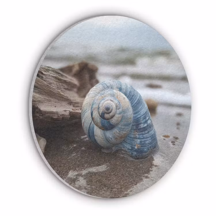 Schelp - Strand - Blauw - Zee Akoestische PET Vilt - Rond klein -3d