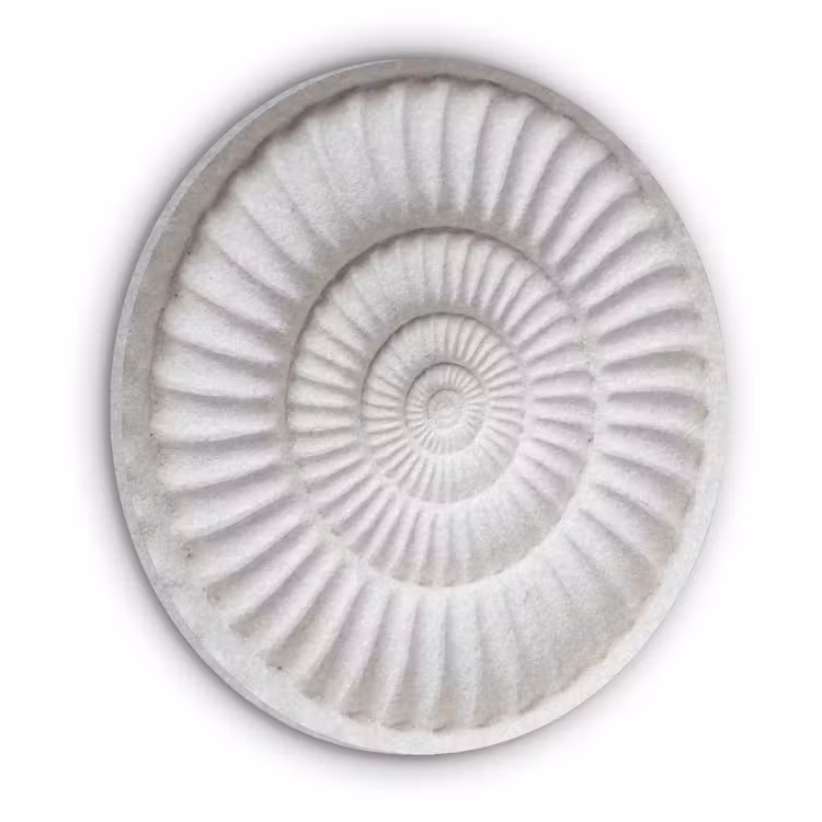 Schelp - Spiraal - Wit Akoestische PET Vilt - Rond klein -3d