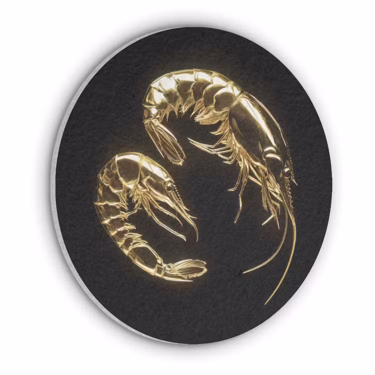 Garnalen - Zwart - Goud - Dieren Akoestische PET Vilt - Rond klein -3d