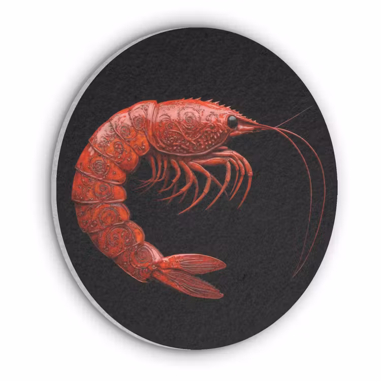 Garnaal - Rood - Dieren Akoestische PET Vilt - Rond klein -3d