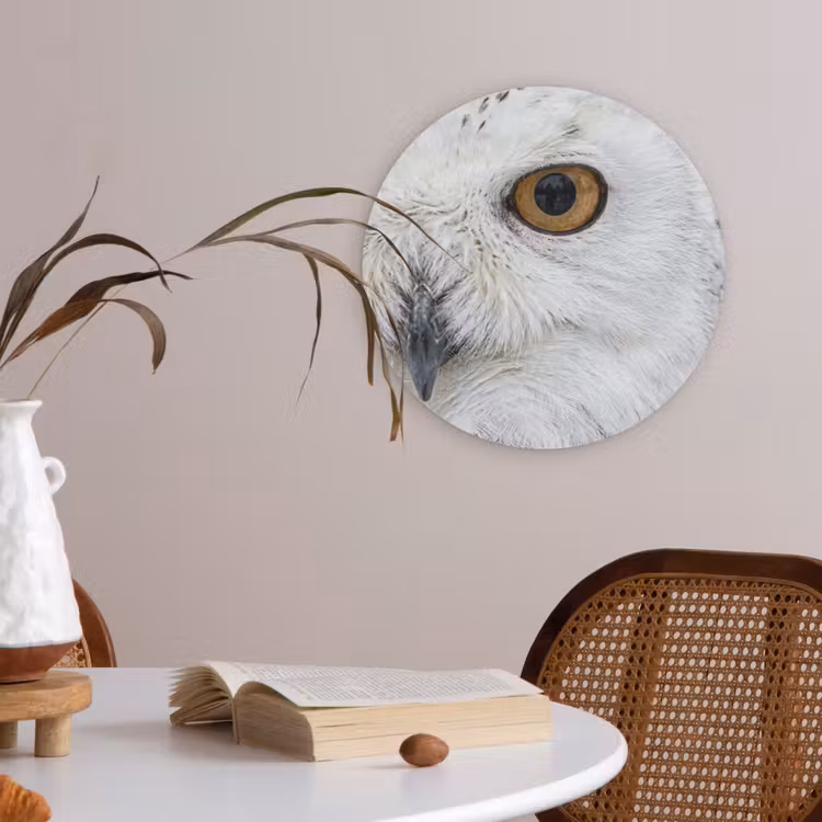 Sneeuwuil - Oog - Wildlife - Wit Akoestische PET Vilt - Rond klein -sfeer3
