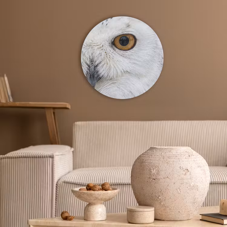 Sneeuwuil - Oog - Wildlife - Wit Akoestische PET Vilt - Rond klein -sfeer1