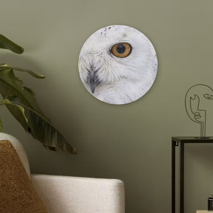 Sneeuwuil - Oog - Wildlife - Wit Akoestische PET Vilt - Rond klein -sfeer2