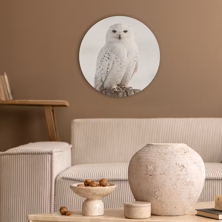 Sneeuwuil - Paal - Winter - Portret - Majestueus Akoestische PET Vilt - Rond klein -sfeer1
