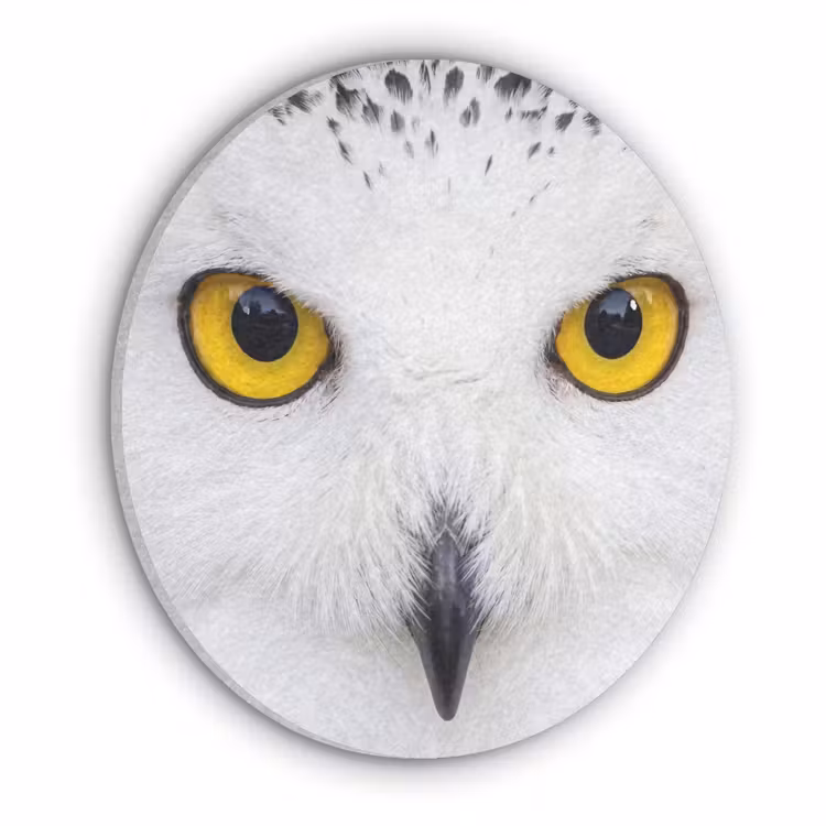 Sneeuwuil - Portret - Geel Akoestische PET Vilt - Rond klein -3d