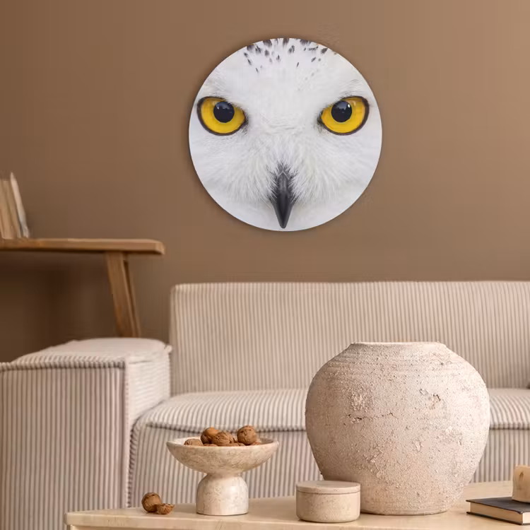 Sneeuwuil - Portret - Geel Akoestische PET Vilt - Rond klein -sfeer1