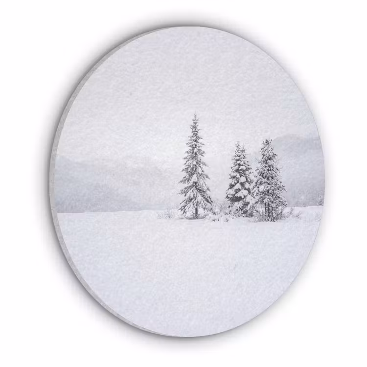 Fijnsparren - Sneeuw - Winter - Landschap - Stilte Akoestische PET Vilt - Rond klein -3d
