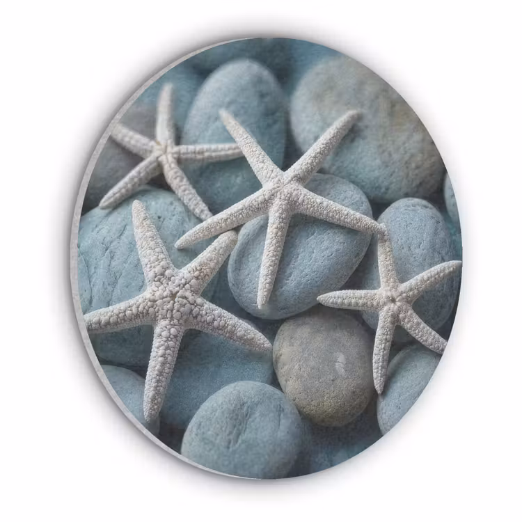 Zeesterren - Stenen - Wit Akoestische PET Vilt - Rond klein -3d