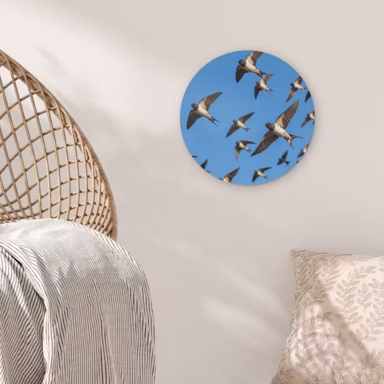 Zwaluwen - Vliegen - Blauw Akoestische PET Vilt - Rond klein -sfeer4