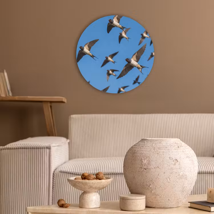 Zwaluwen - Vliegen - Blauw Akoestische PET Vilt - Rond klein -sfeer1