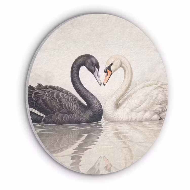 Zwanen - Hartvorm - Dieren Akoestische PET Vilt - Rond klein -3d
