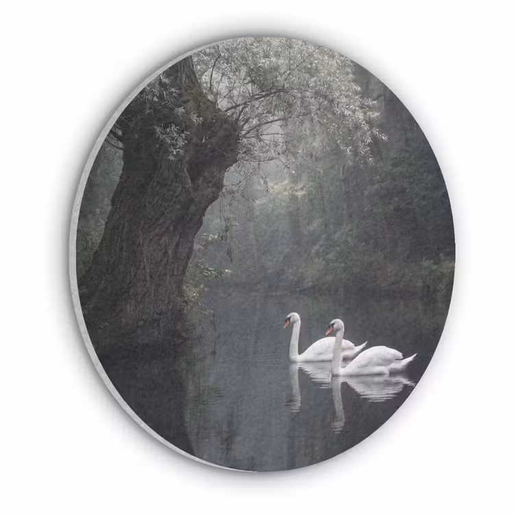 Zwanen - Rivier - Bos Akoestische PET Vilt - Rond klein -3d