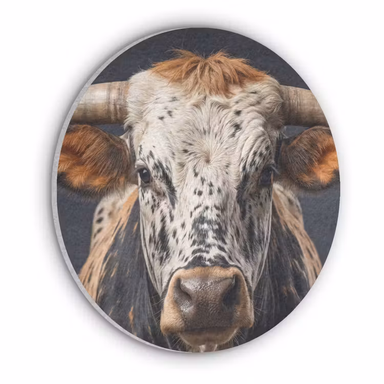 Stier - Kleurrijk - Hoorns Akoestische PET Vilt - Rond klein -3d