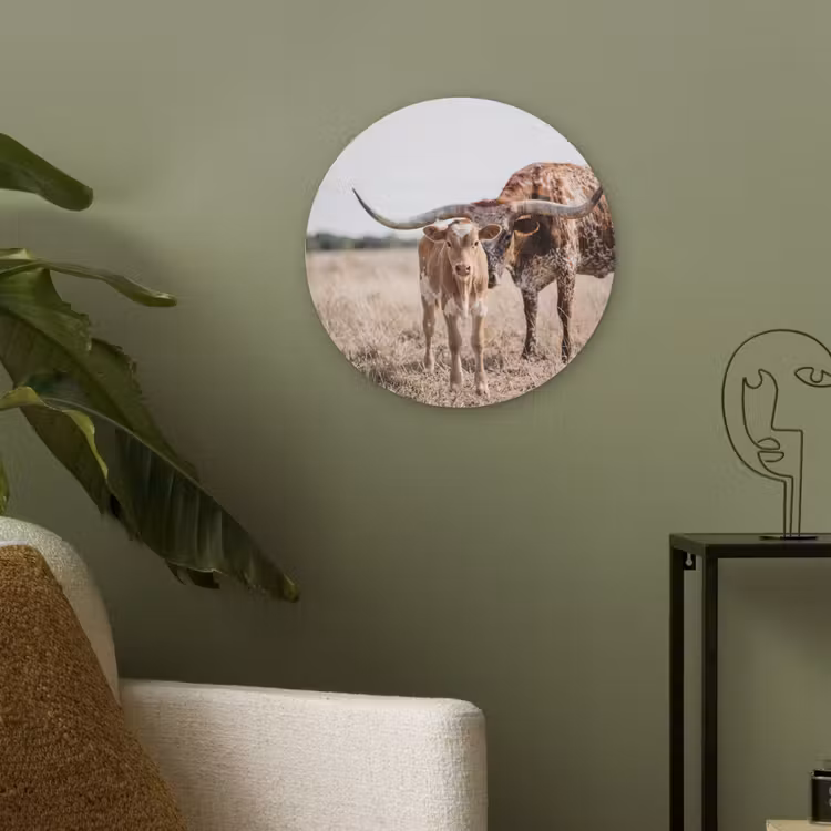 Texas Longhorn - Kalf - Weide - Dieren Akoestische PET Vilt - Rond klein -sfeer2