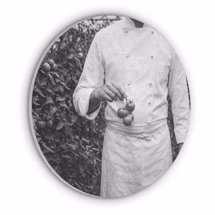 Tomaten - Chef - Zwart - Wit Akoestische PET Vilt - Rond klein -3d