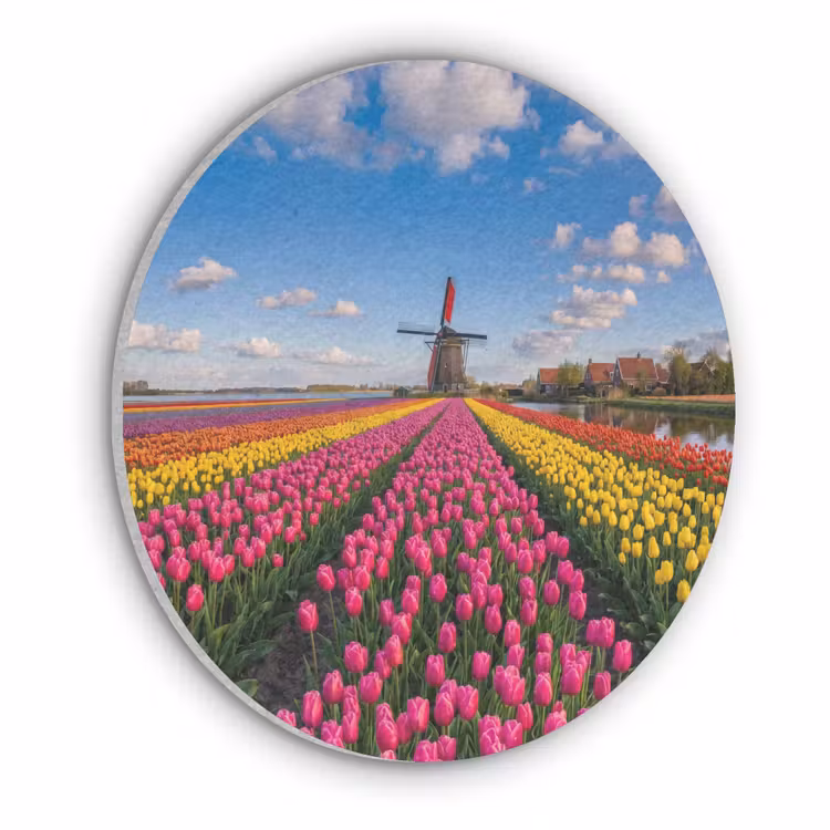 Tulpen - Holland - Molen - Kleurrijk Akoestische PET Vilt - Rond klein -3d