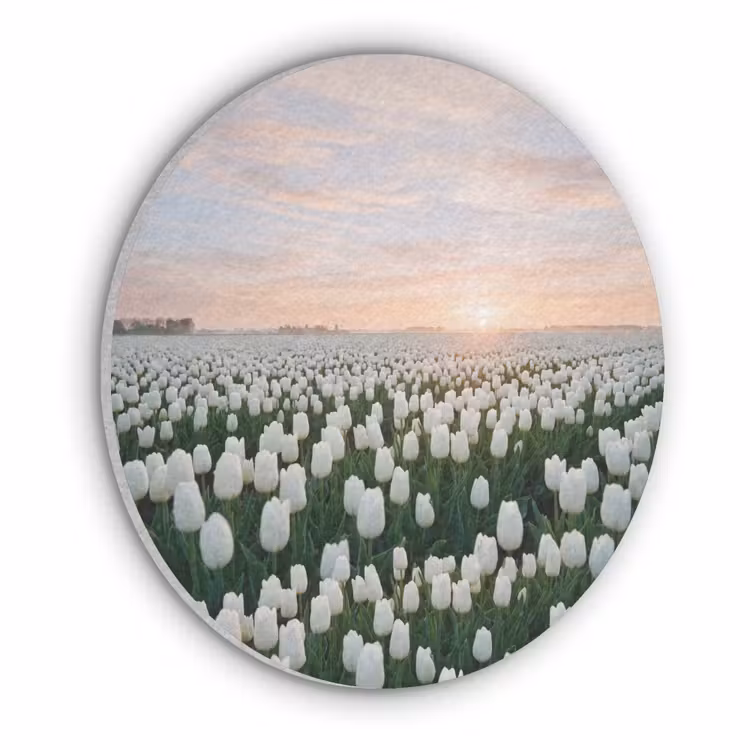 Tulpen - Landschap - Wit Akoestische PET Vilt - Rond klein -3d