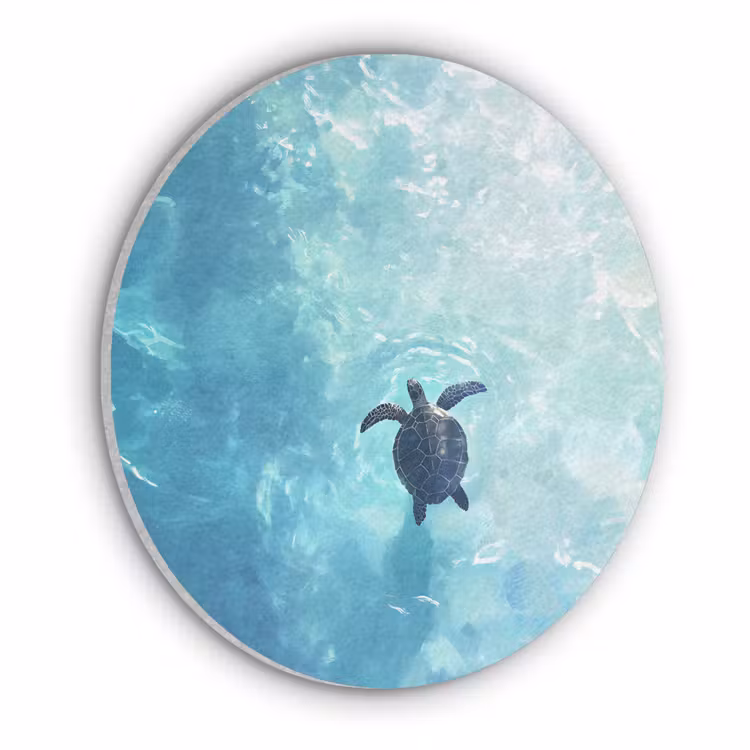 Schildpad - Zee - Blauw - Schittering Akoestische PET Vilt - Rond klein -3d