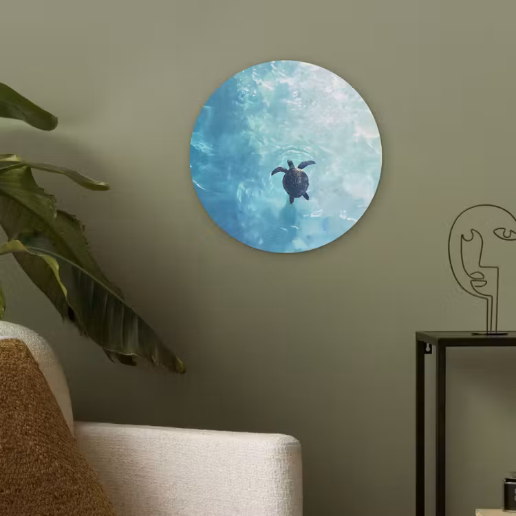 Schildpad - Zee - Blauw - Schittering Akoestische PET Vilt - Rond klein -sfeer2