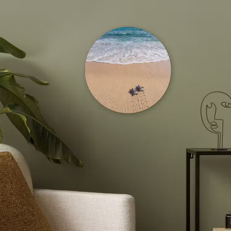 Schildpad - Jong - Strand - Oceaan - Blauw Akoestische PET Vilt - Rond klein -sfeer2