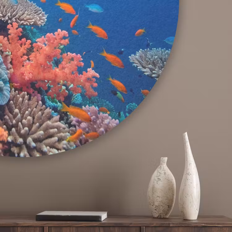 Onderwater - Koraalrif - Vissen - Oceaan - Natuur Akoestische PET Vilt - Rond klein -sfeer5_closeup