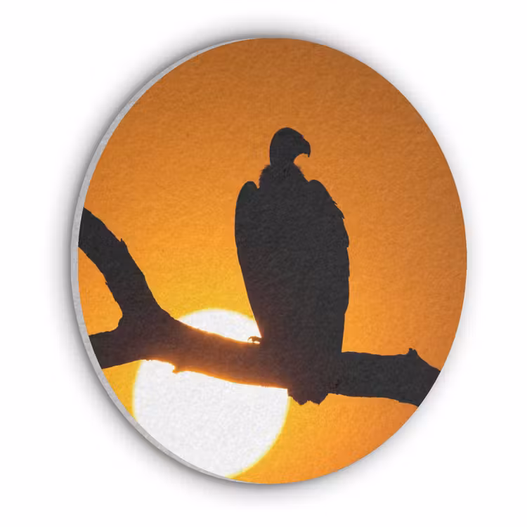 Gier - Tak - Zon - Oranje Akoestische PET Vilt - Rond klein -3d