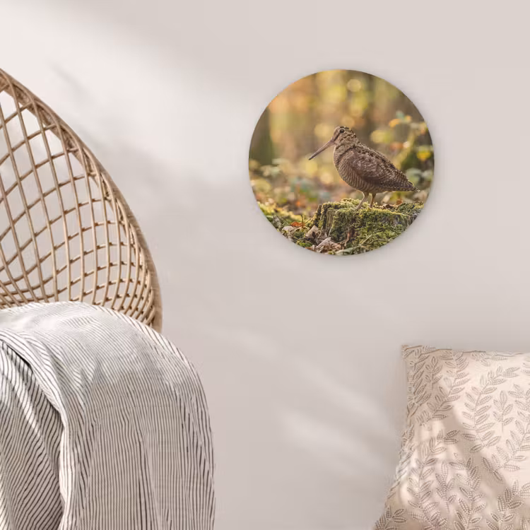 Houtsnip - Bos - Bladeren - Herfst - Gecamoufleerd Akoestische PET Vilt - Rond klein -sfeer4