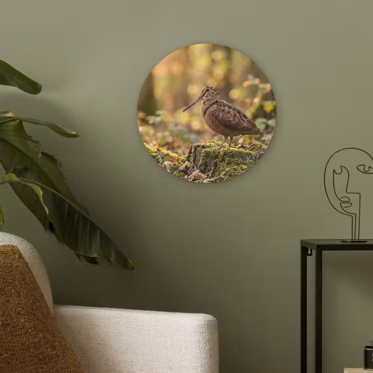 Houtsnip - Bos - Bladeren - Herfst - Gecamoufleerd Akoestische PET Vilt - Rond klein -sfeer2