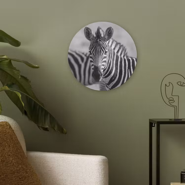 Zebra's - Zwart - Wit Akoestische PET Vilt - Rond klein -sfeer2