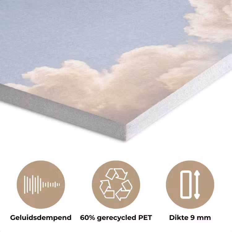 Vogel - Vlucht - Wolken - Natuur - Blauw PET vilt klein -closeup_NL