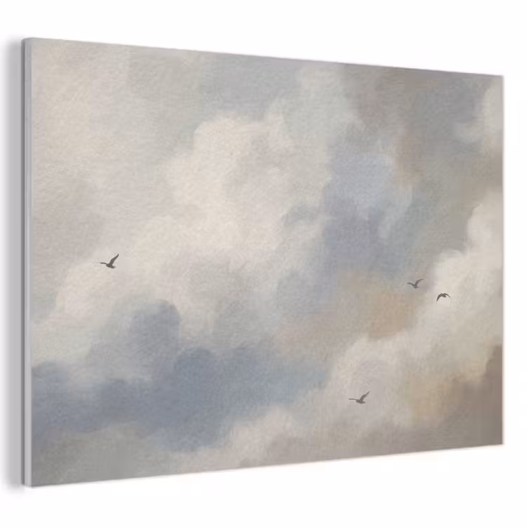 Vogel - Wolken - Natuur - Modern - Grijs PET vilt klein -3d