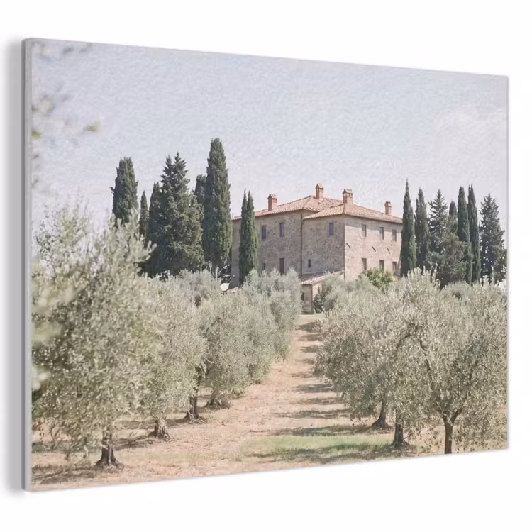 Acoustic Panel - Country house - olive tree - orchard - Landhuis - olijfboom - gaard PET vilt klein