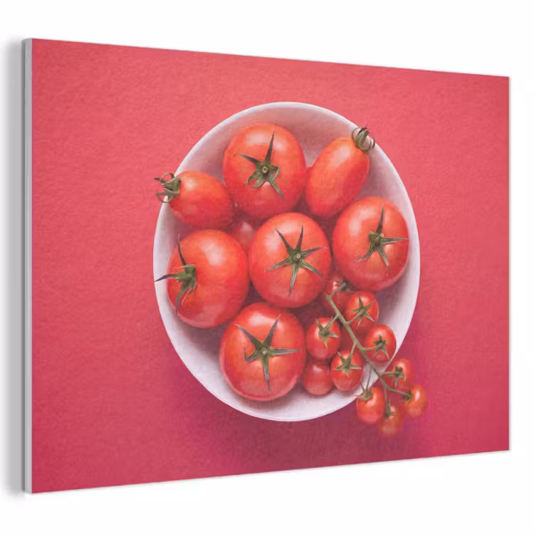 Acoustic Panel - Dinner Plate - Red - Eten - Kom - Rood PET vilt klein