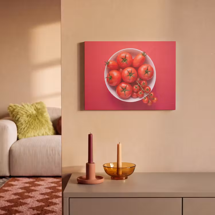 Acoustic Panel - Dinner Plate - Red - Eten - Kom - Rood PET vilt klein