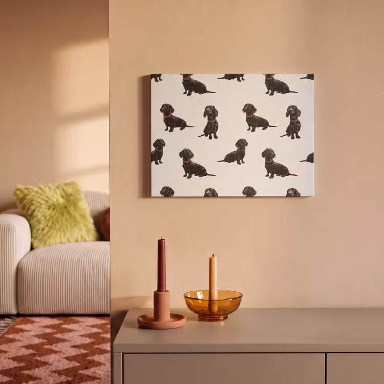 Hond - Patroon - Zwart PET vilt klein 837 -sfeer1