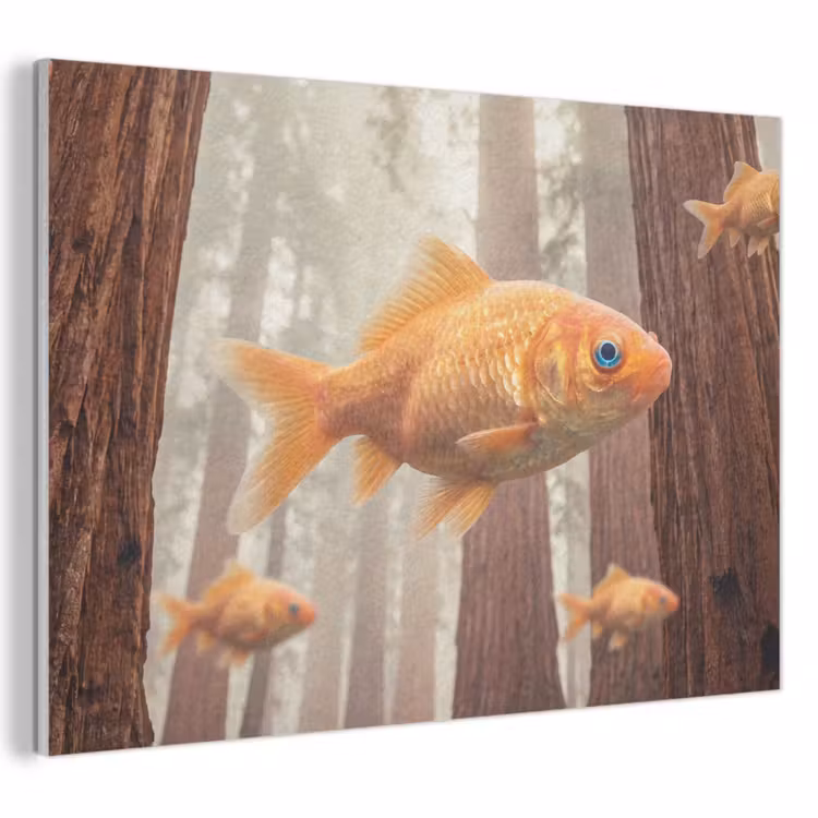 Acoustic Panel - Fish - Forest - Fantasy - Vis - Bos - Fantasie PET vilt klein