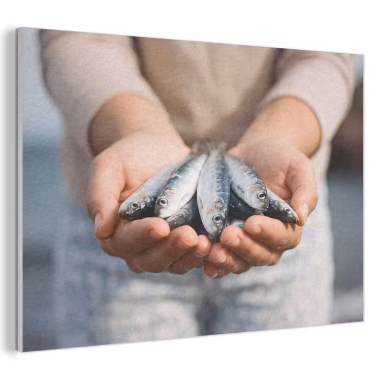 Acoustic Panel - Fish - Hands - Nature - Vis - Handen - Natuur PET vilt klein