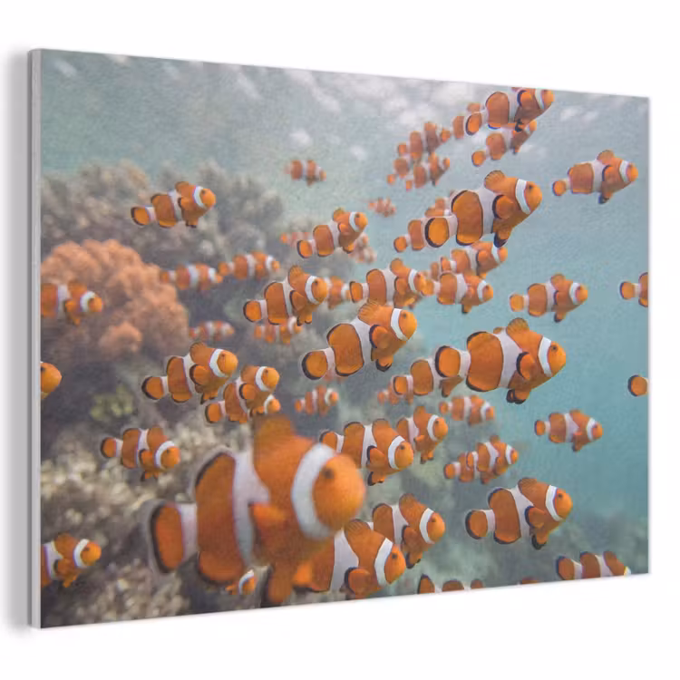 Vis - School - Onderwater - Dieren - Oranje PET vilt klein -3d