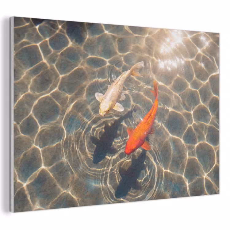 Vis - Water - Dieren - Oranje - Goud PET vilt klein -3d