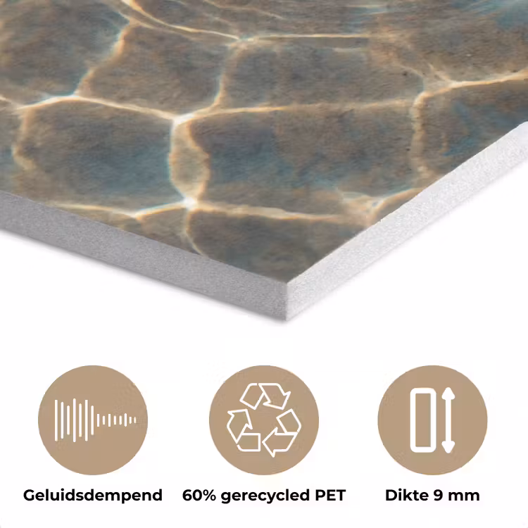 Vis - Water - Dieren - Oranje - Goud PET vilt klein -closeup_NL