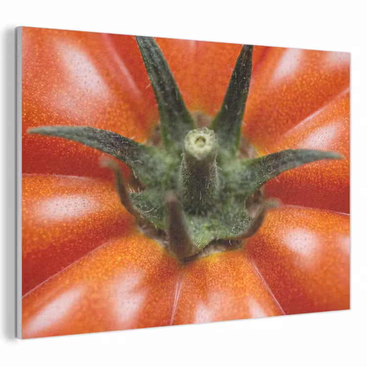 Acoustic Panel - Food - Tomato - Red - Eten - Tomaat - Rood PET vilt klein