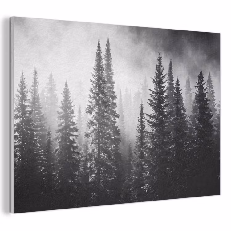 Bos - Mist - Winter - Monochroom - Natuur PET vilt klein -3d