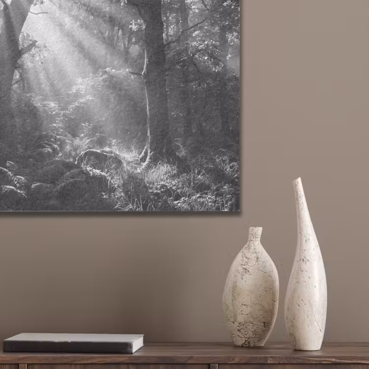 Bos - Lichtstralen - Natuur - Zwart-wit PET vilt klein -sfeer6_closeup